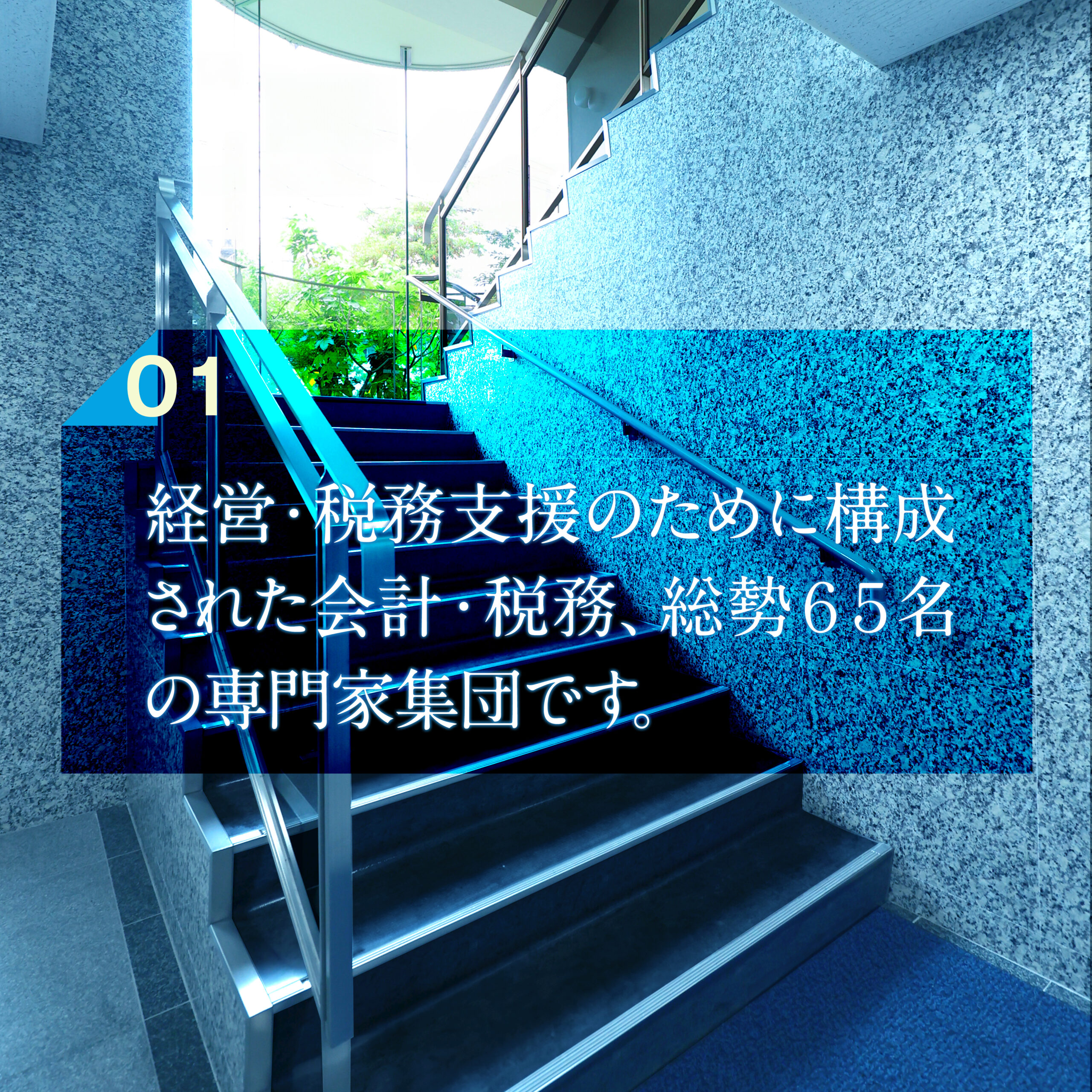 経営・税務支援のために構成された会計・税務、総勢65名の専門家集団です。